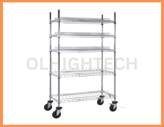 FOR WEBSITE EDIT PIC